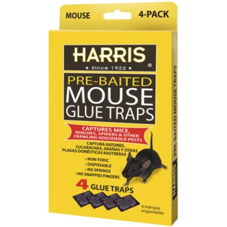 HARRIS Trap Glue Mouse 4 Pk HMG-4